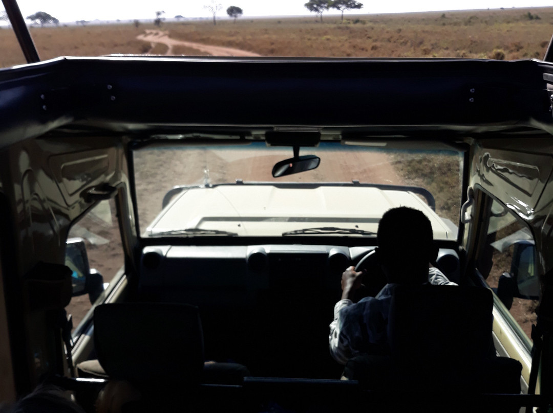 Tanzania-Experience-阿鲁沙必去景点