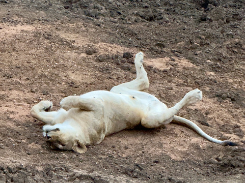 MyAfrica-霍德斯普鲁特必去景点