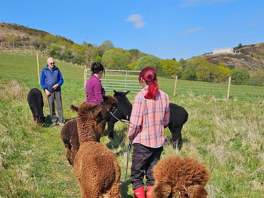 Fedwen Farm-Cwmafan必去景点