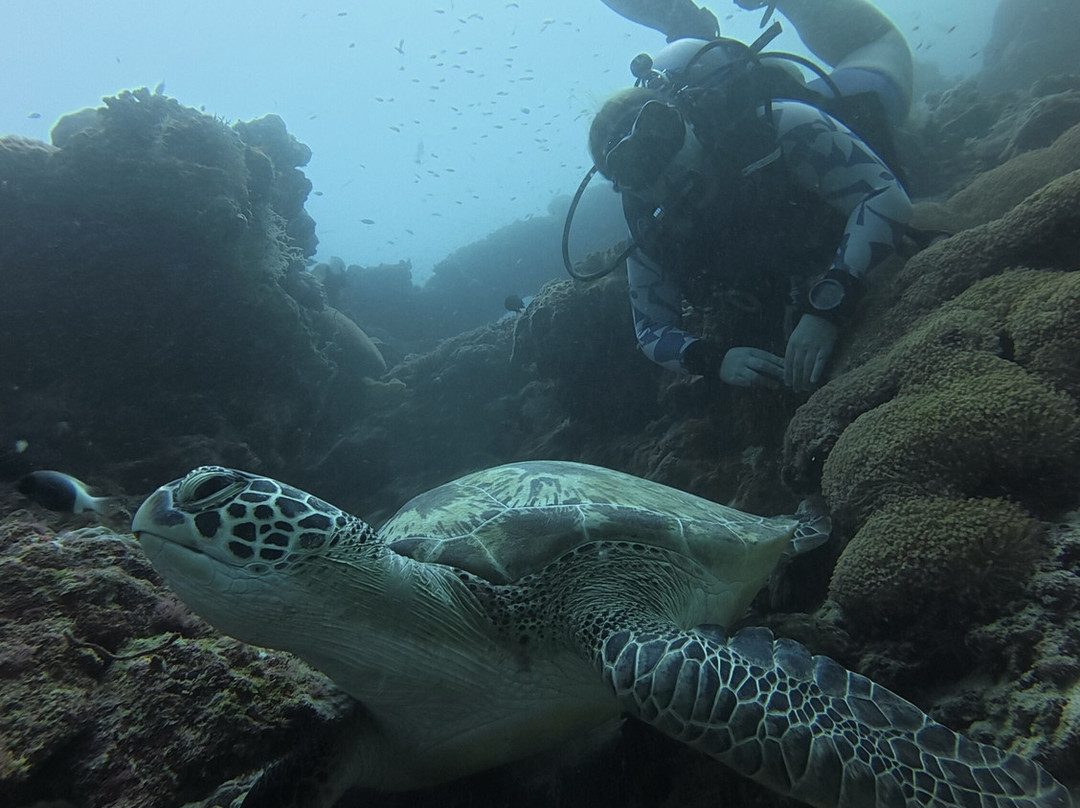 Fehi Velaa Dive-Dhonfanu必去景点