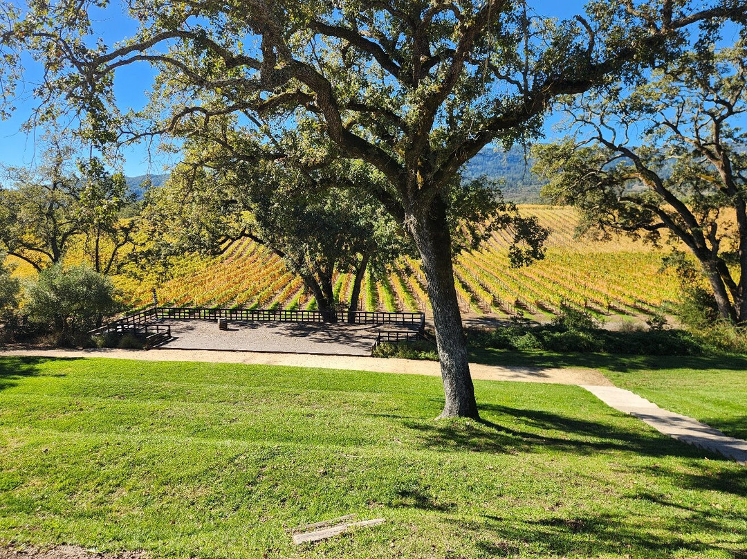 B.r. Cohn Winery-Glen Ellen必去景点