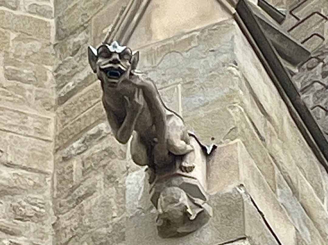 Carcassonne Cathedral-卡尔卡松必去景点