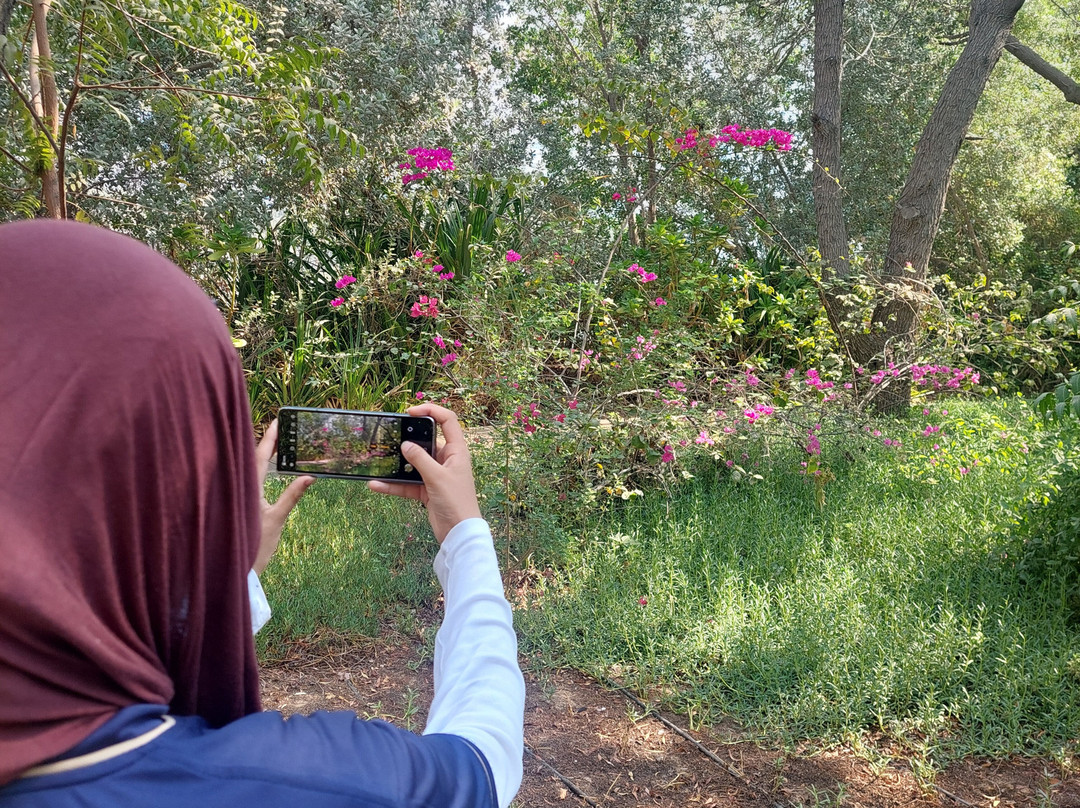 Al Noor Island-沙迦必去景点