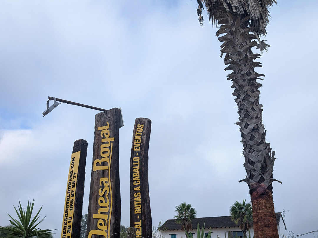 Dehesa Boyal-Villamanrique de la Condesa必去景点