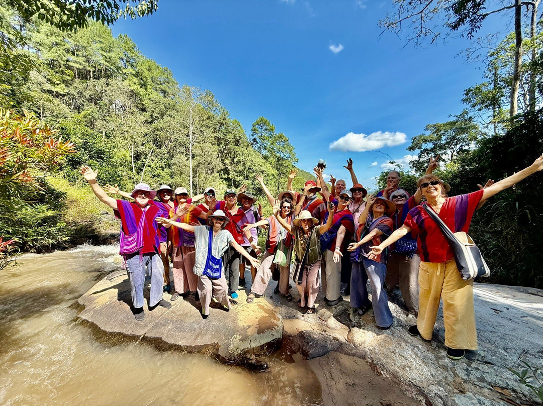 Elephant Freedom Village