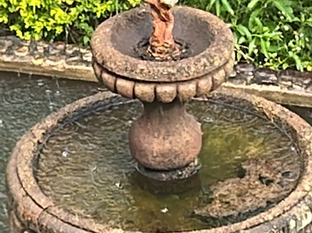 Fazenda Neuchatel-瓜拉廷格塔必去景点