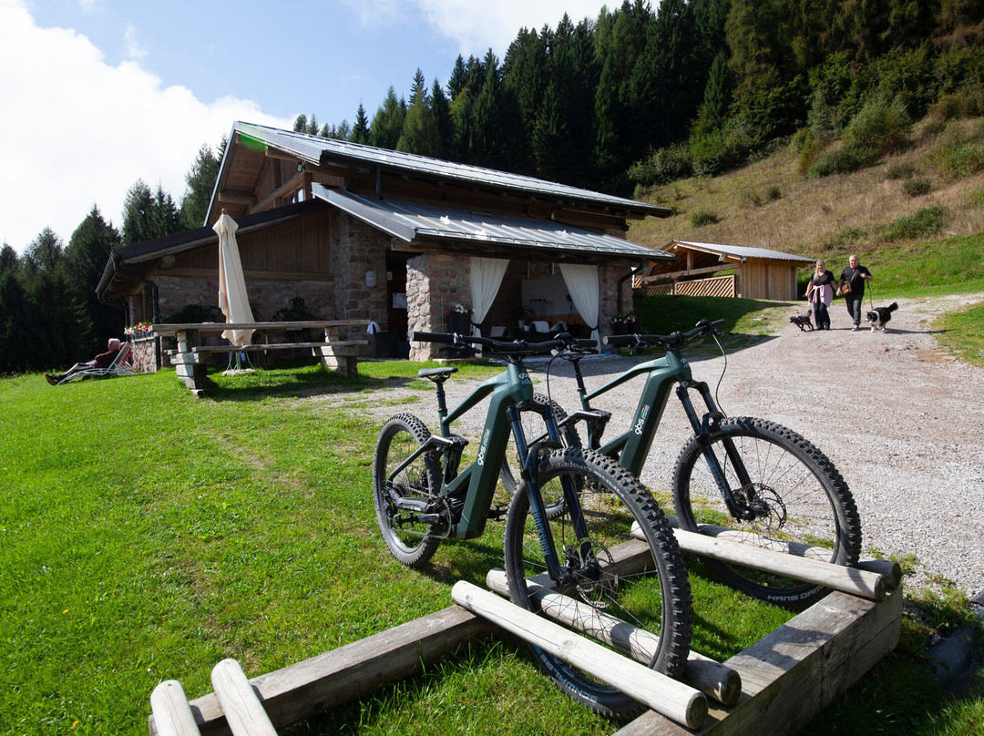 Chalet Chapeau B & B-Castel Condino必去景点