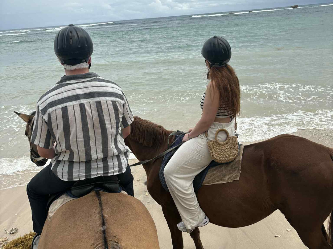 Ocean Echo Stables-Saint John Parish必去景点