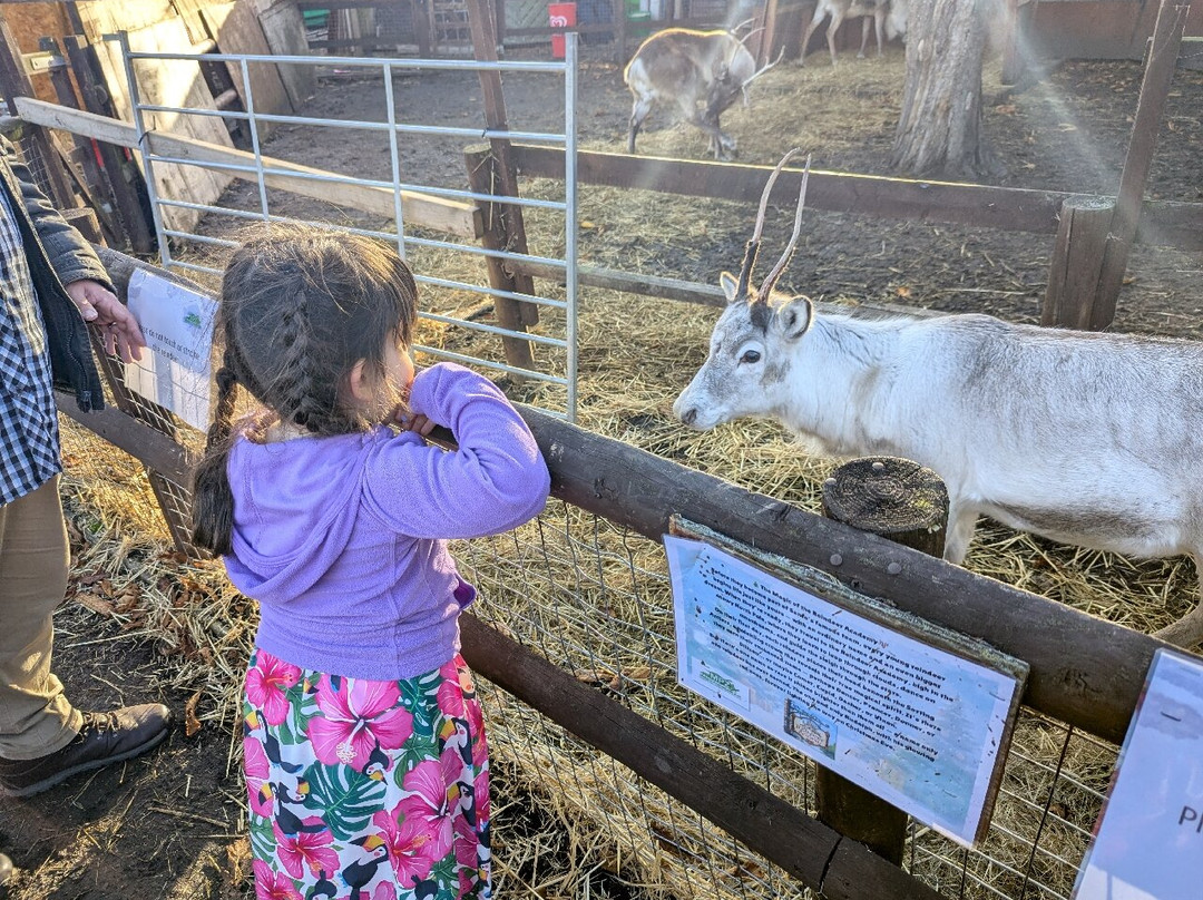 Promenade Park Petting Zoo