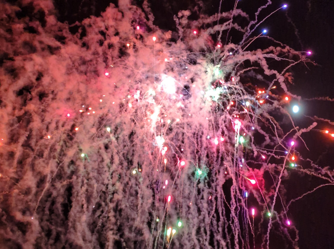 Apley Farm Shop-Norton必去景点