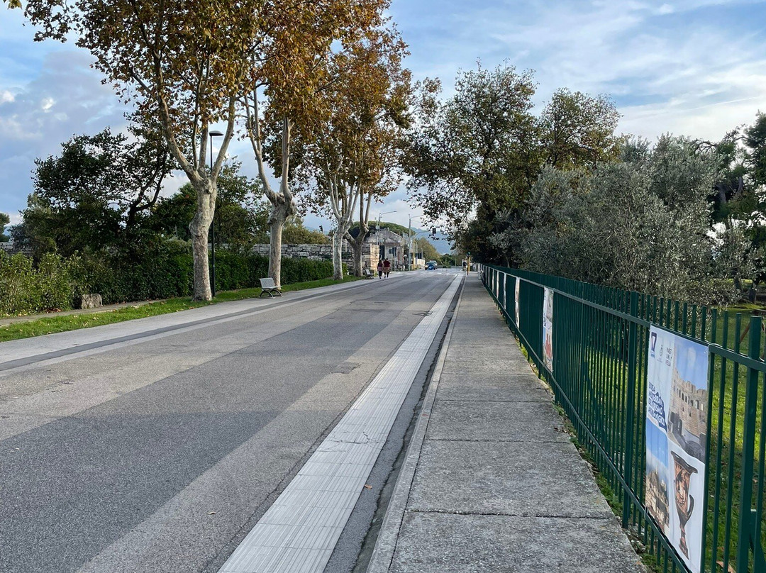 Anfiteatro Romano di Paestum-Paestum必去景点