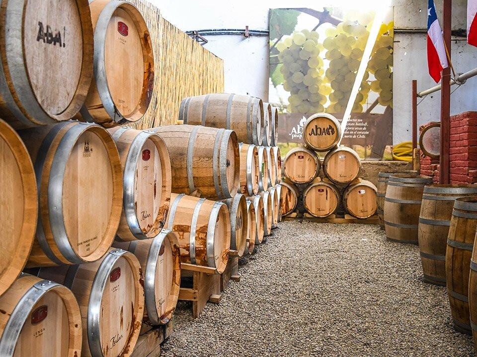 Pisquera Aba Oficial-Vicuna必去景点