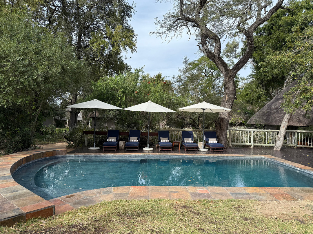 Sabi Sabi Selati Camp主图