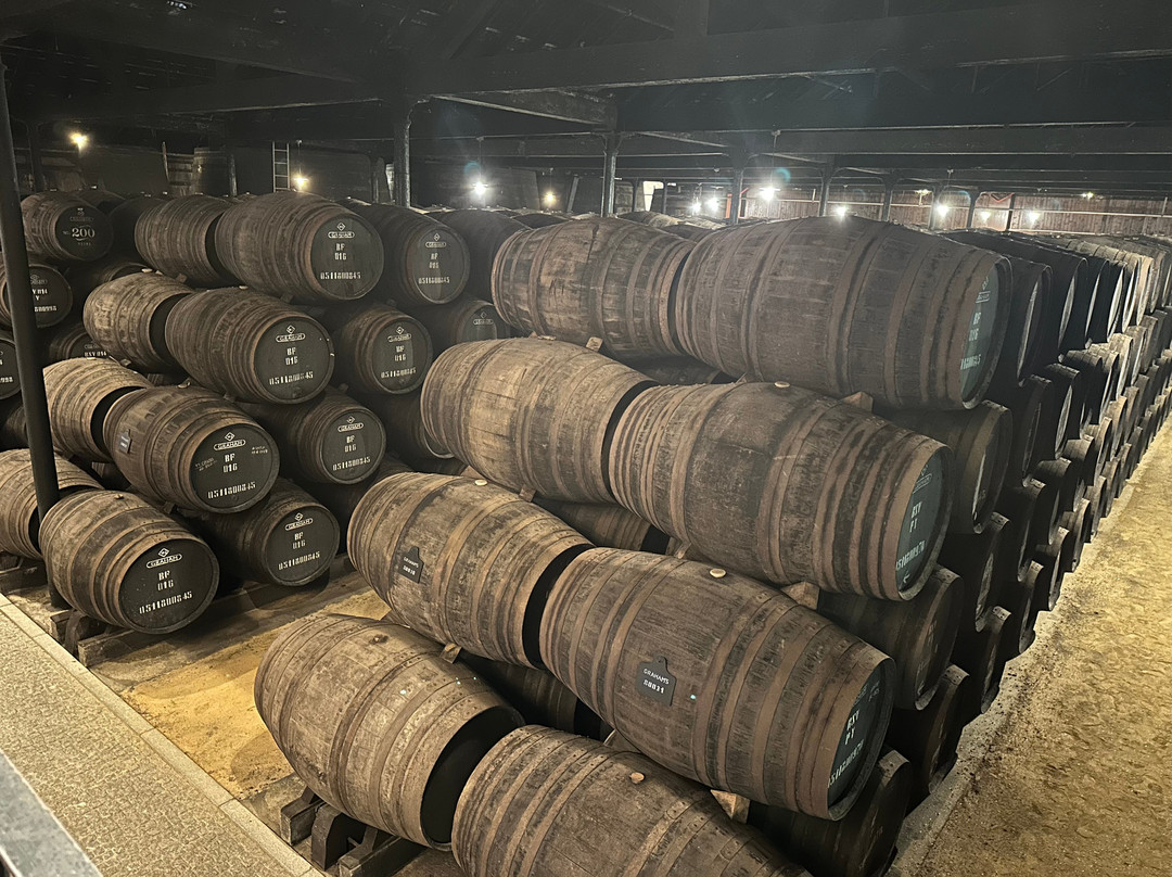 Hotel Porto River Infante