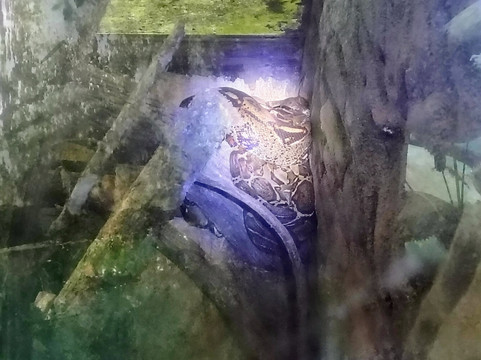 Natura Eco Park Costa Rica-福德圣卡洛斯必去景点