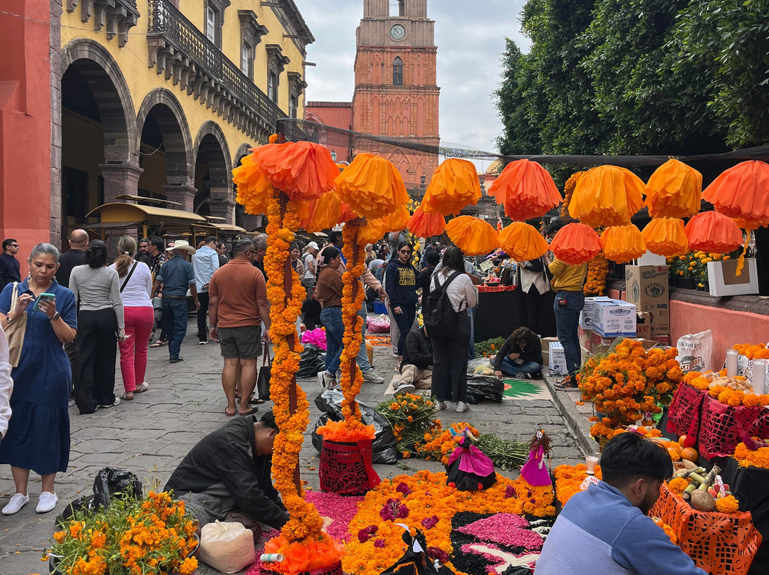 Camiba Cultural Tours-奥斯丁必去景点