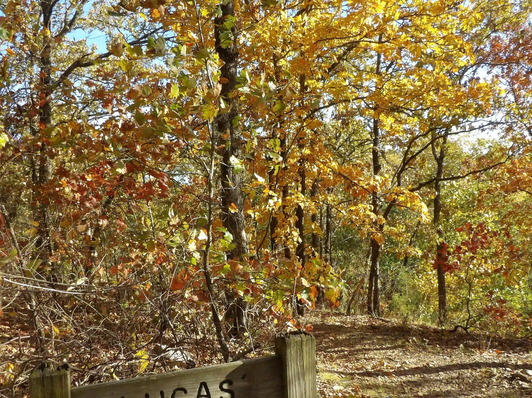 Schermerhorn Park-Galena必去景点