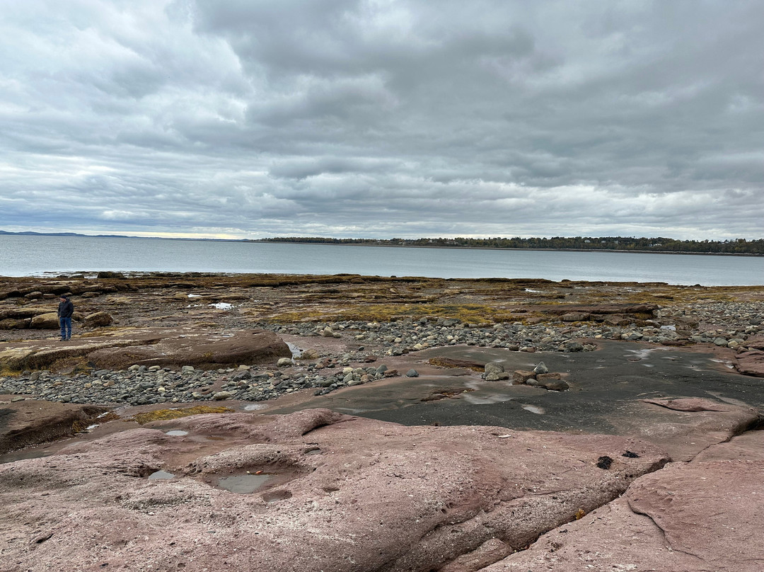 Burntcoat Head Park-Noel必去景点