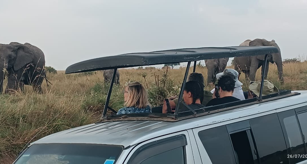 Olenini Safaris-纳罗克必去景点