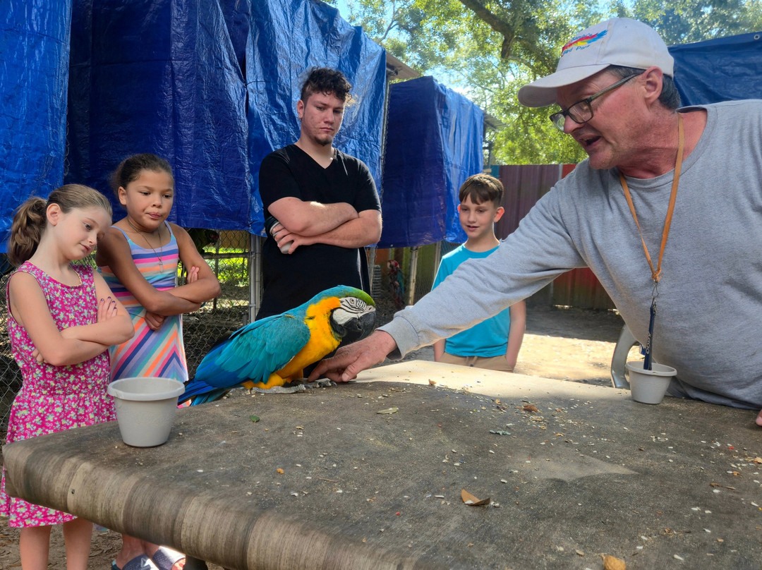 Uncle Sandy's Macaw Bird Park-彭萨科拉必去景点