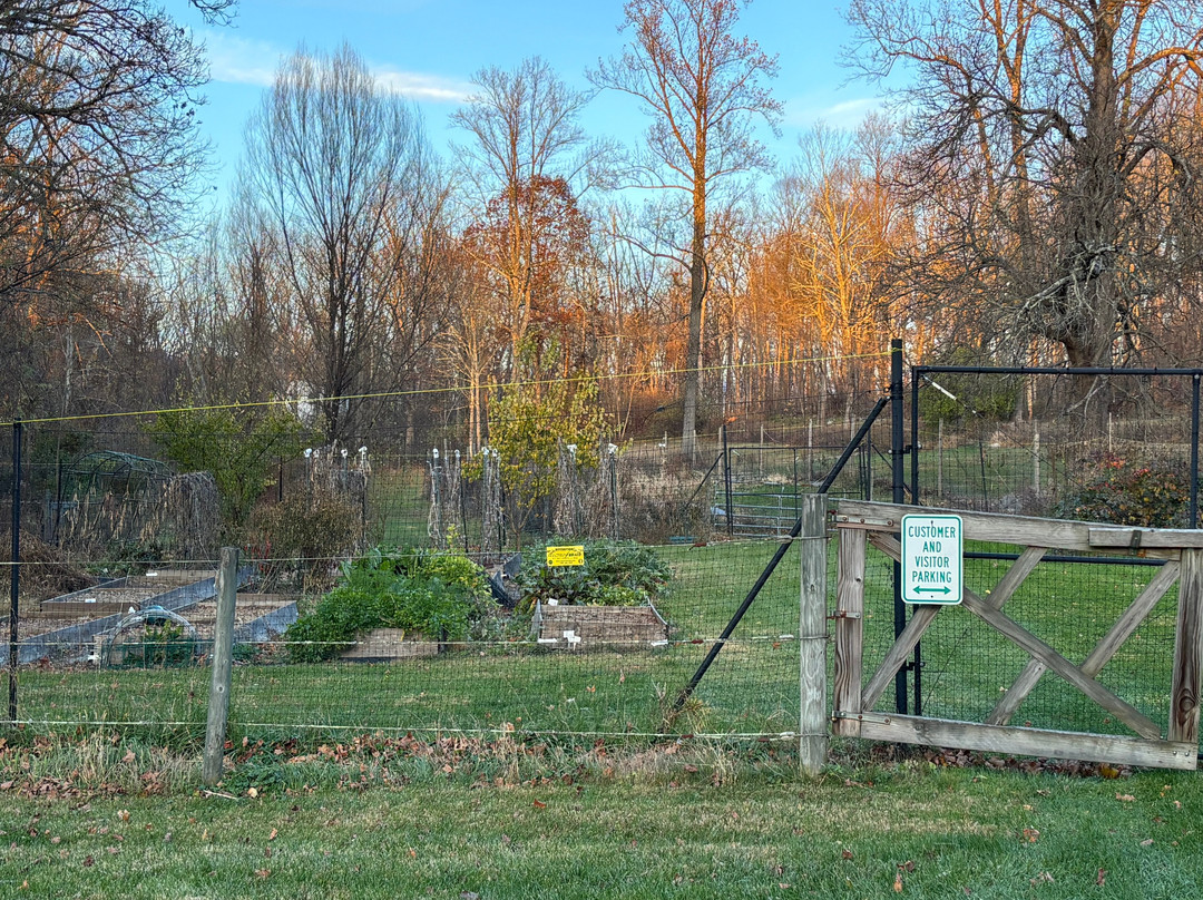 The RoseMary Inn主图