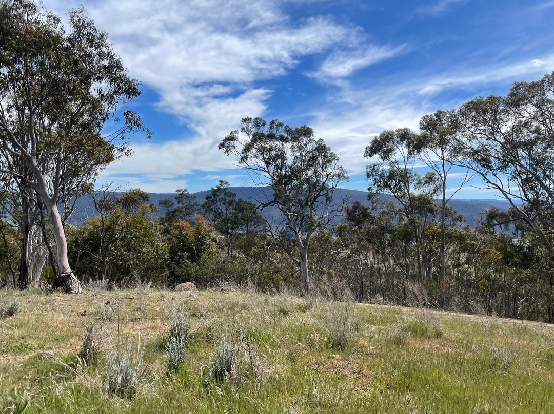 McMillan Lookout-Omeo必去景点