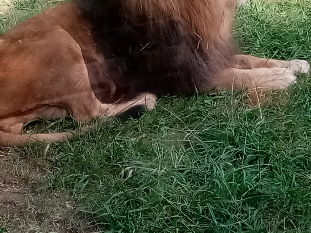 Zoo da Maia-Maia必去景点