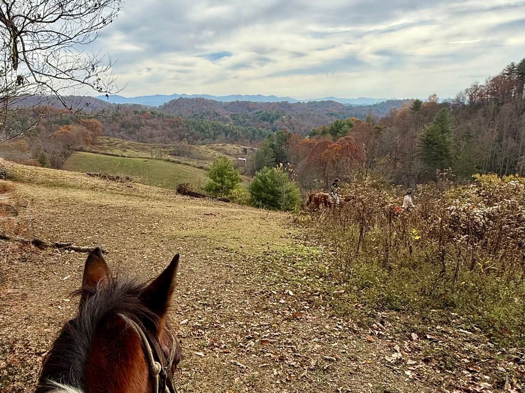 Smoky Mountain Trail Rides and Bison Farm-Marshall必去景点