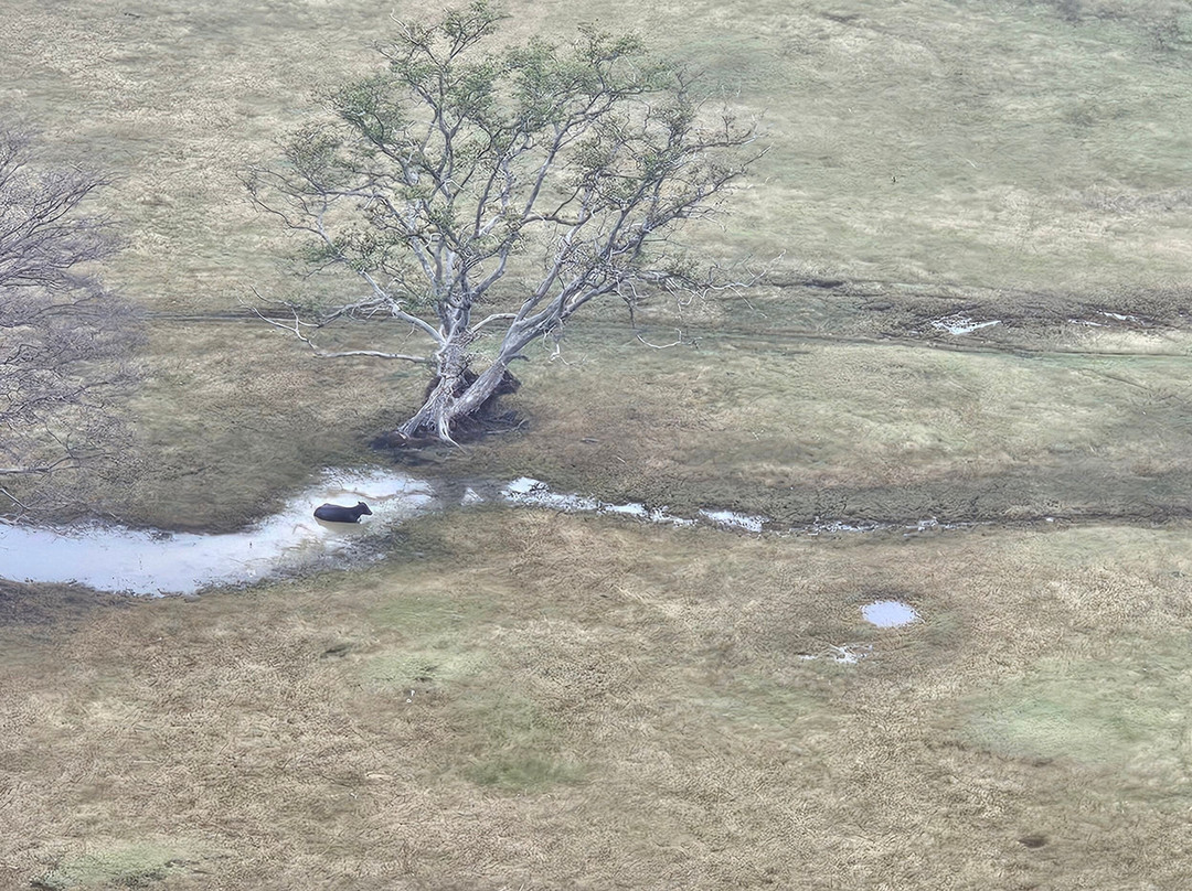 Sun Rise Ballooning-丹布拉必去景点