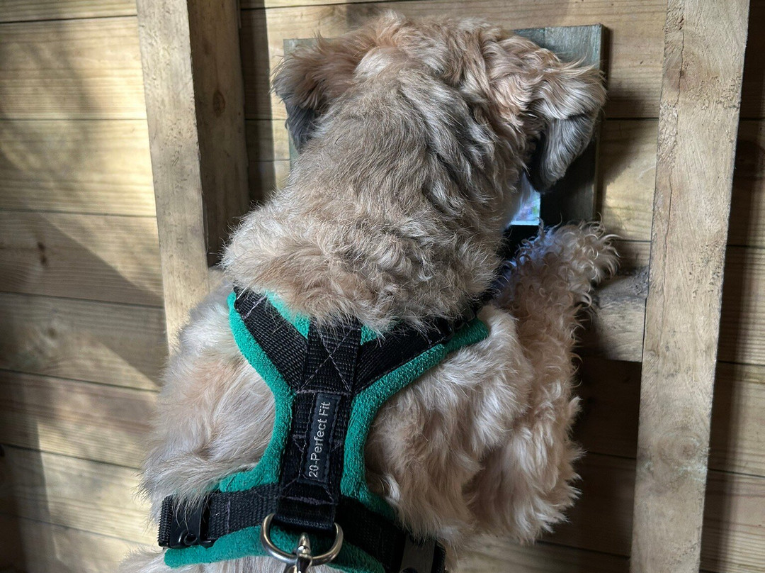 Watchtree Nature Reserve-卡莱尔必去景点