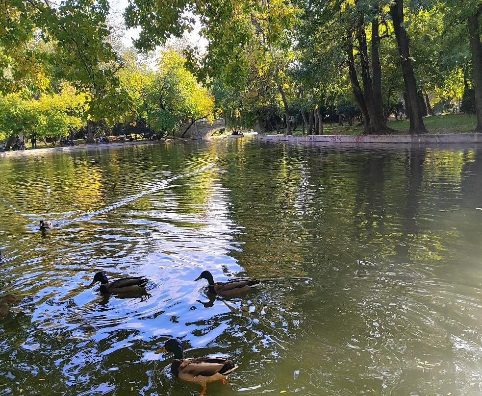 Cismigiu Parc-布加勒斯特必去景点