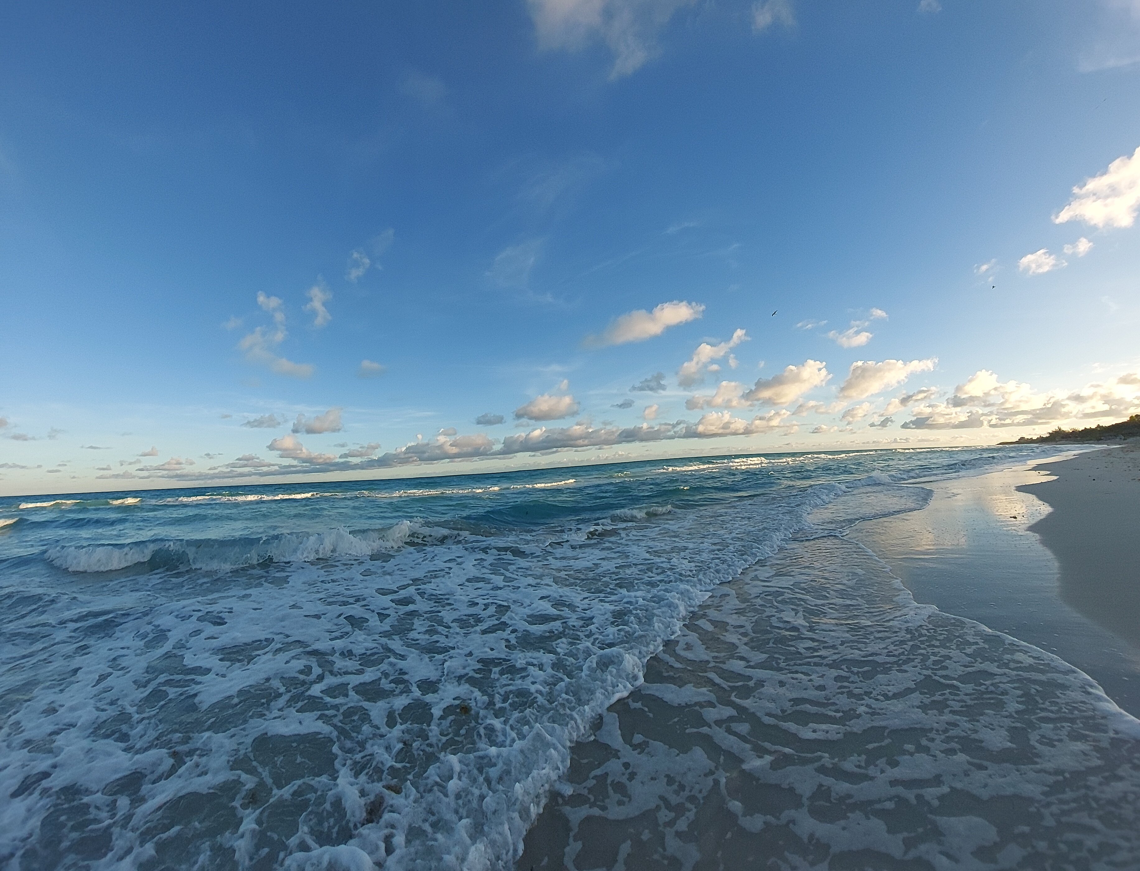 Sol Varadero Beach-泳池