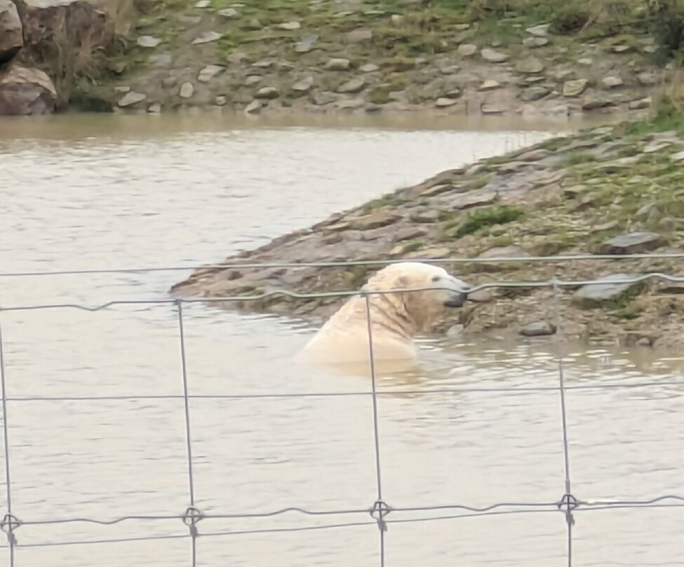 Peak Wildlife Park-Winkhill必去景点