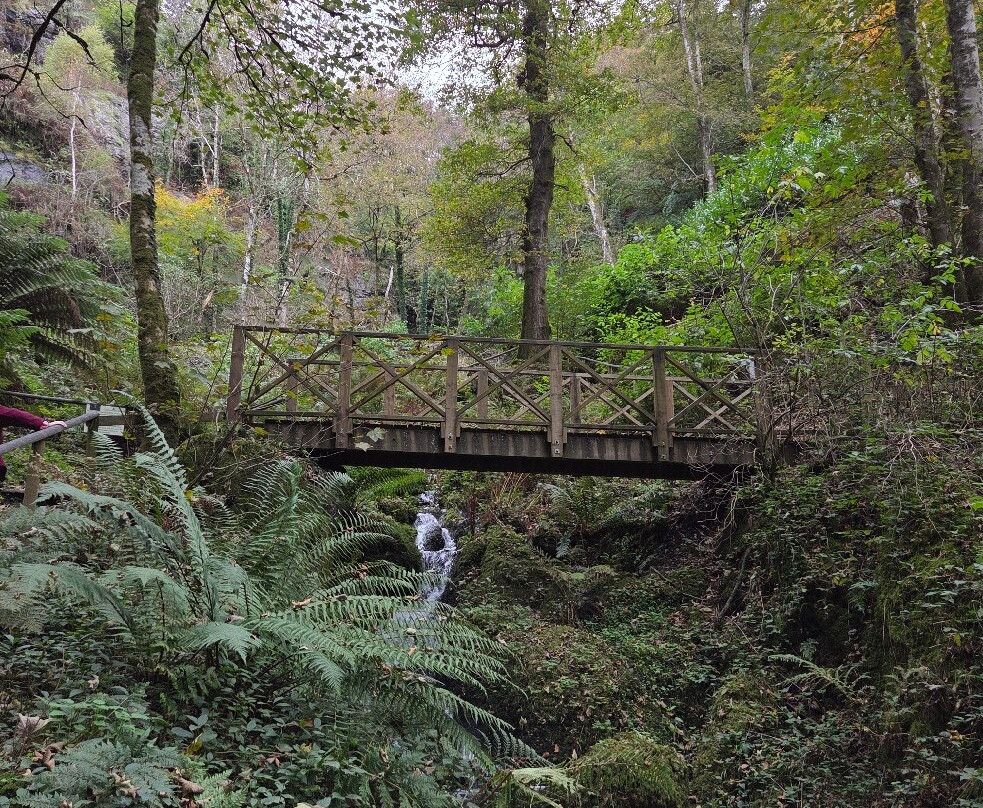 Canonteign Falls-Christow必去景点