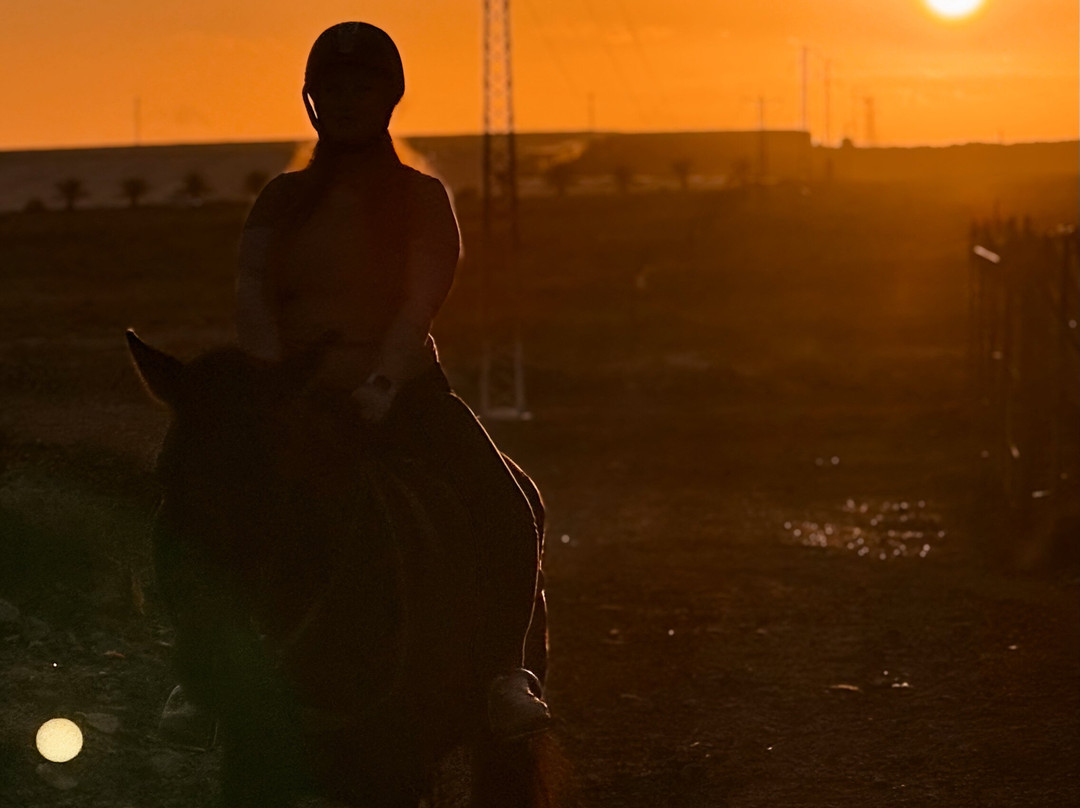 Hipica Cuadras El Medano-El Medano必去景点