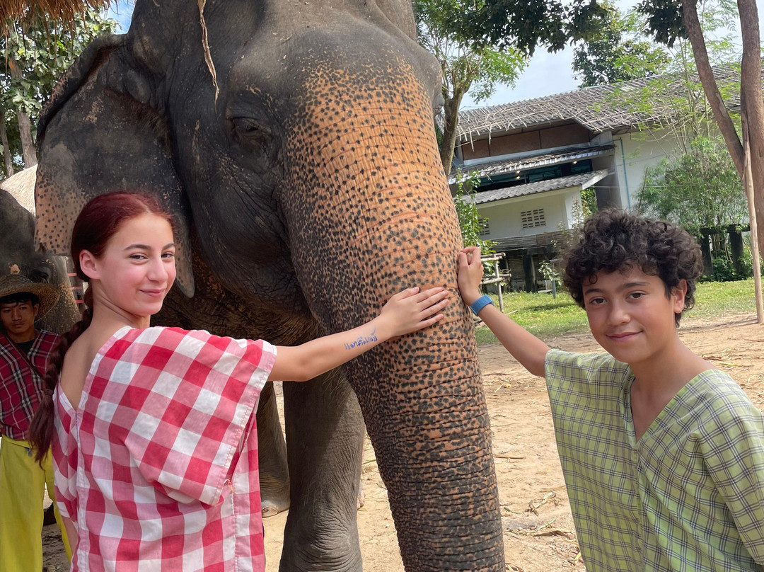 Maerim Elephant Sanctuary-夜林必去景点