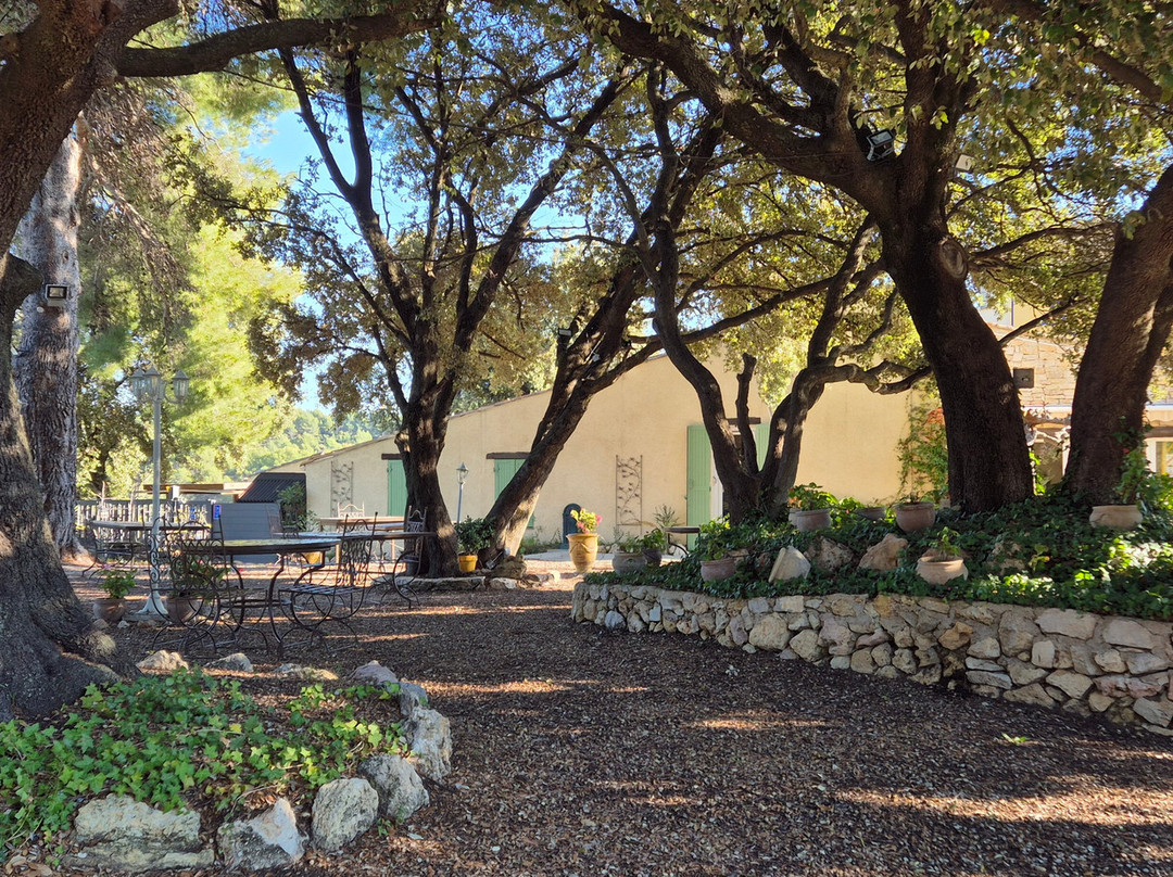 老妇人巴斯蒂德酒店主图