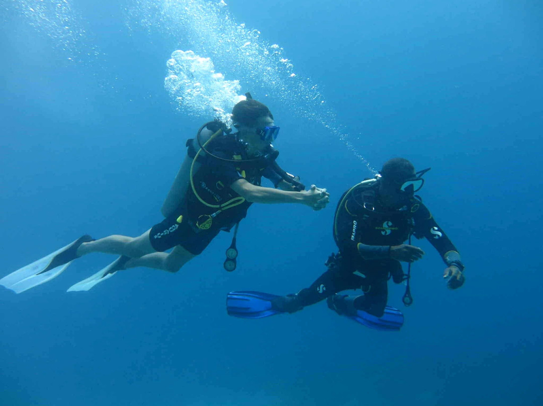 Aquarius Diving Club-马卡迪湾必去景点