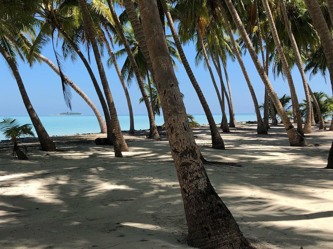 玛希韦利岛酒店住宿-Veli Beach Inn