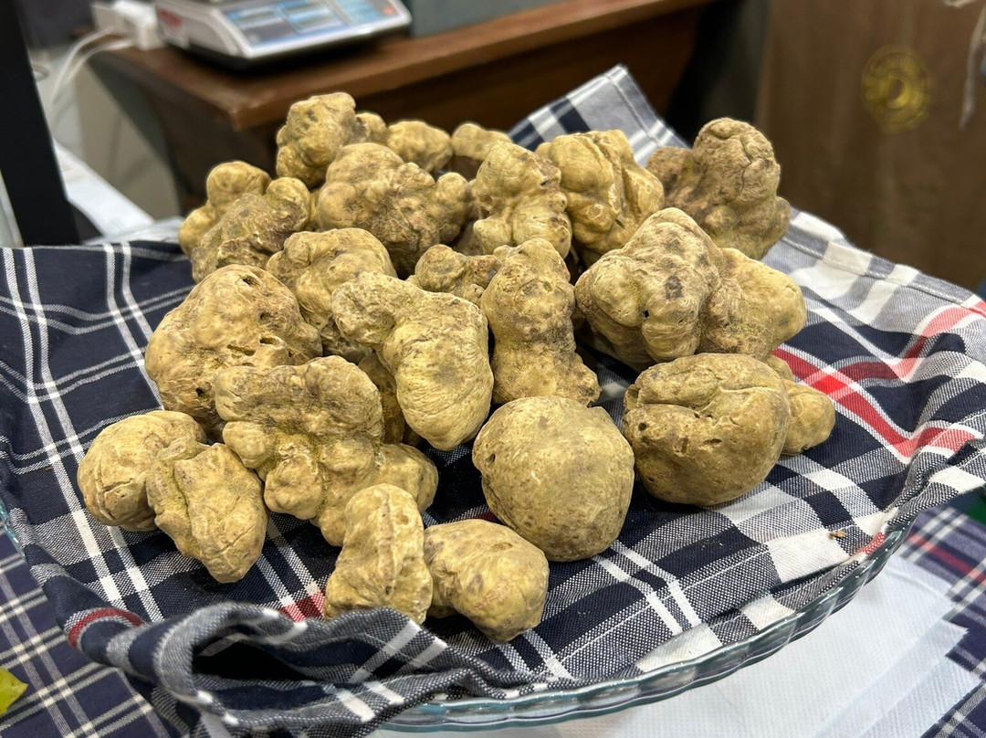 Alba International White Truffle Fair-阿尔巴必去景点