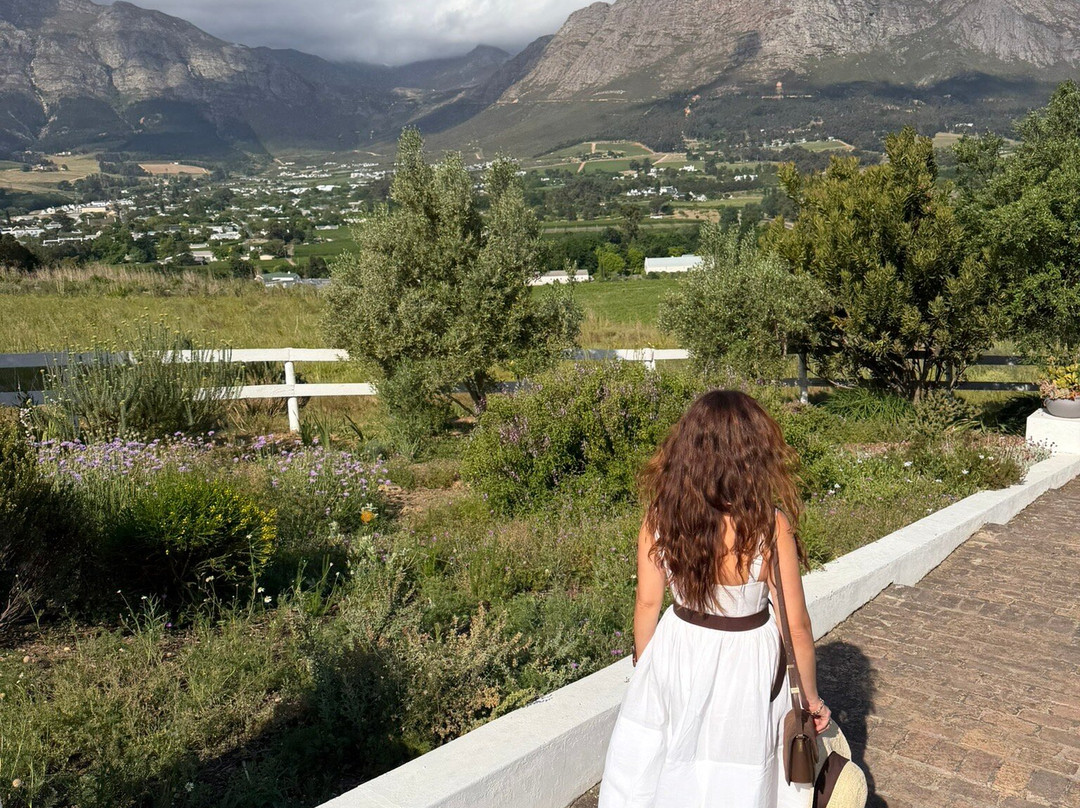 Mont Rochelle Hotel & Vineyard-法兰舒克必去景点