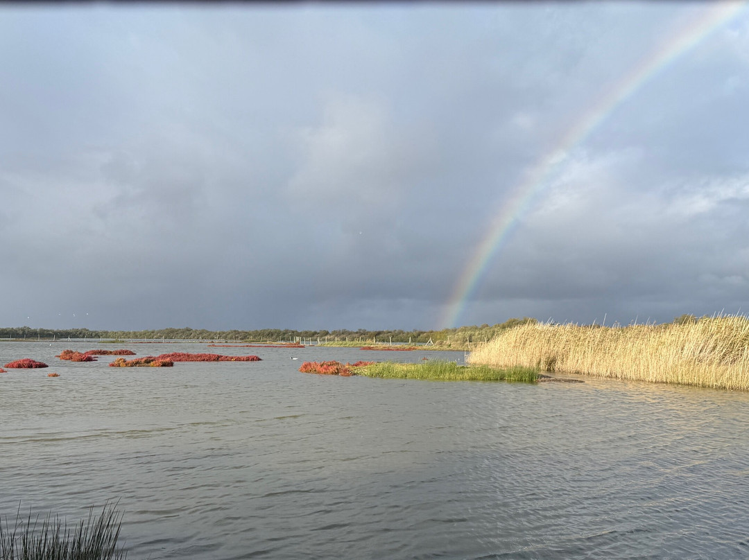 Réserve Ornithologique Du Teich-Le Teich必去景点