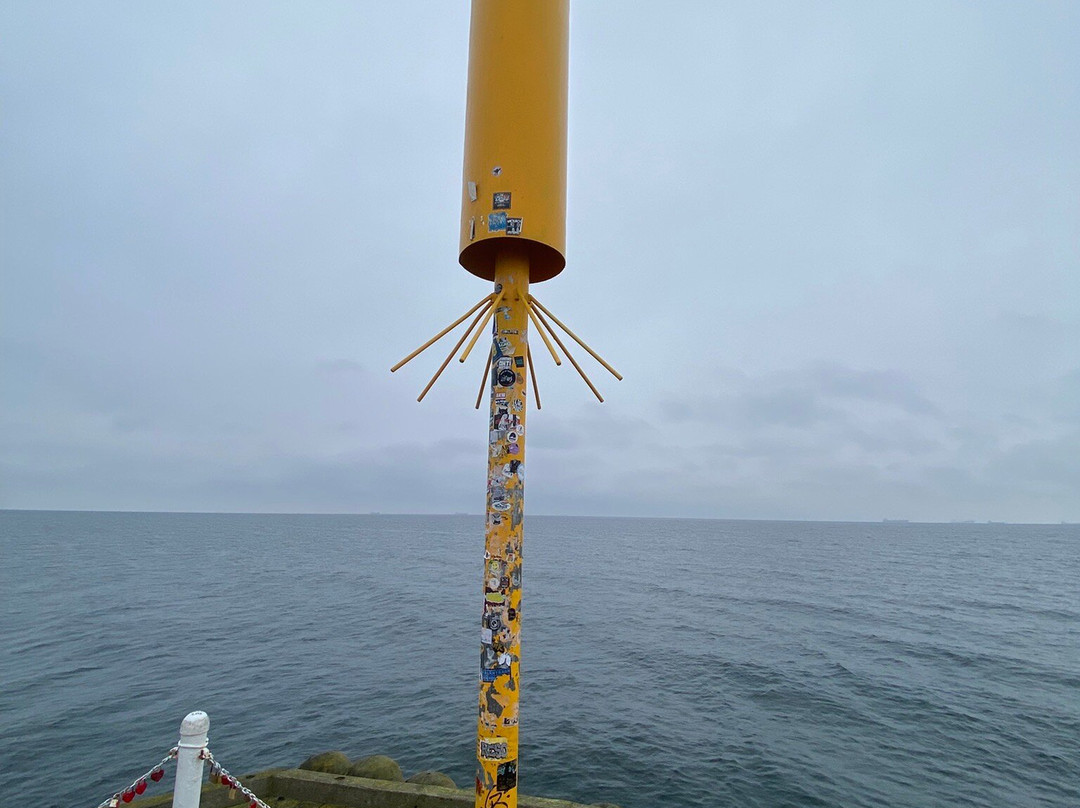 Sopot Pier-索波特必去景点