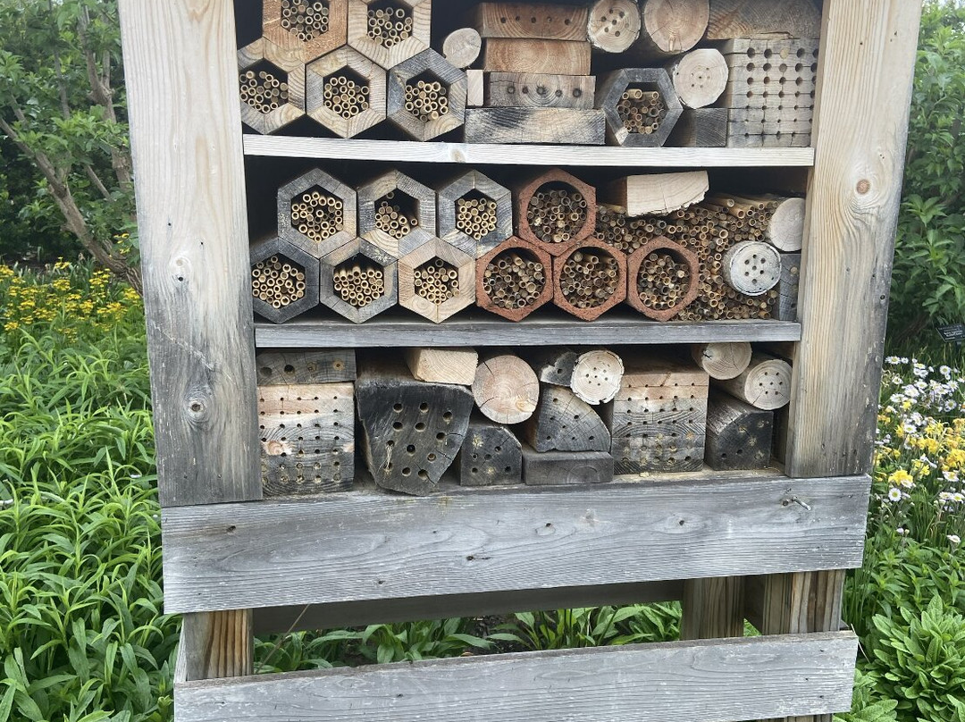 The Arboretum at Penn State-宾夕法尼亚州学院必去景点