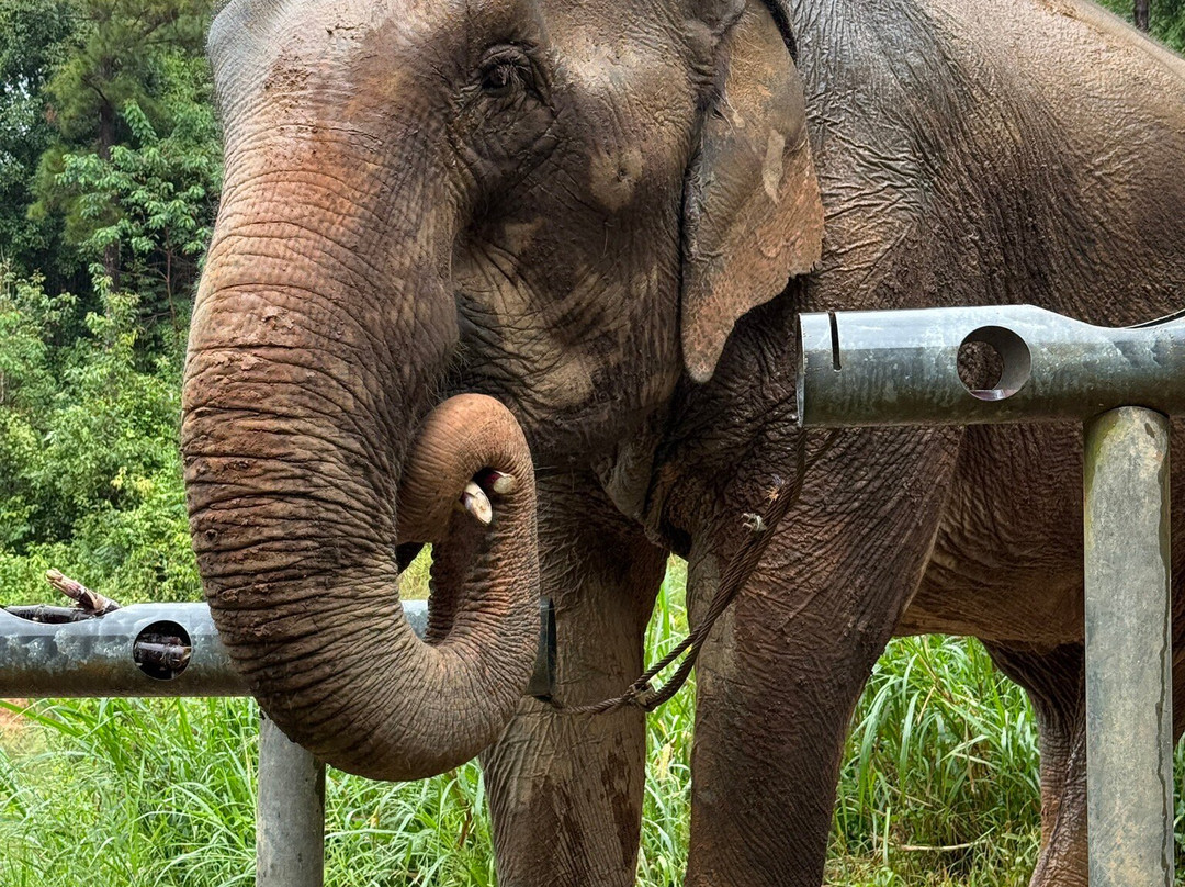 Chang Chill-Mae Win必去景点