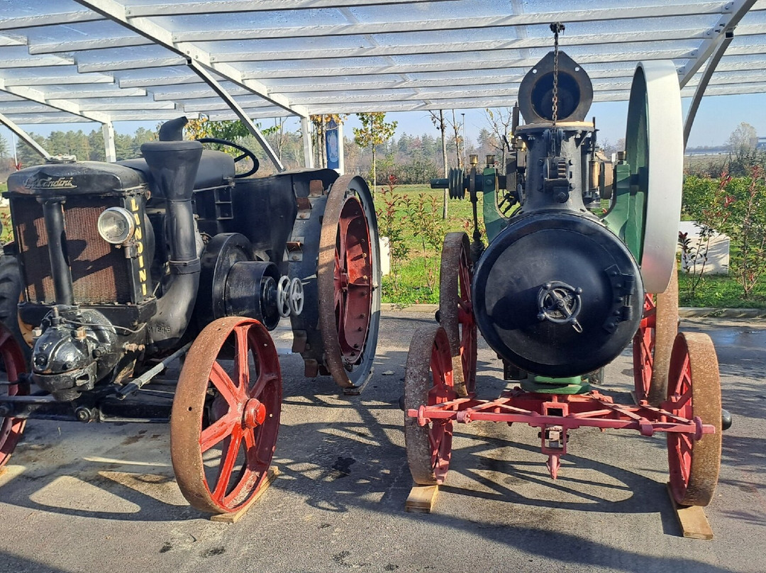 Panini Motor Museum-摩德纳必去景点