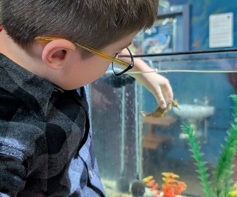 Seahorse World-Beauty Point必去景点