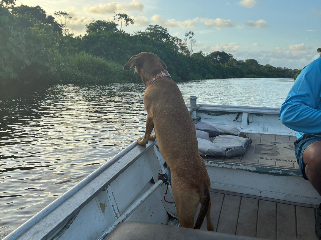 Blackwater Adventures-乔治城必去景点