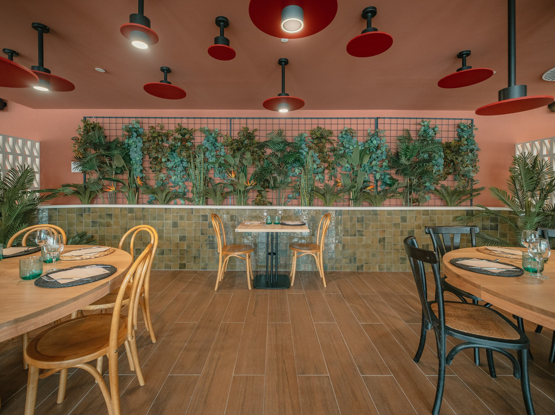 Hd Lobos Natura Fuerteventura