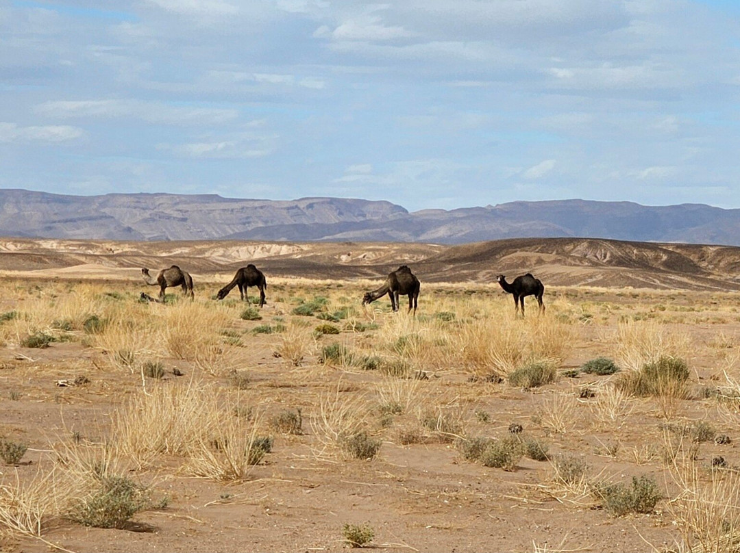 Morocco Trekking-马拉喀什必去景点